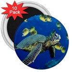 sea turtle 3  Magnet (10 pack)