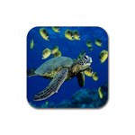 sea turtle Rubber Square Coaster (4 pack)
