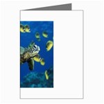 sea turtle Greeting Cards (Pkg of 8)