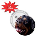 rottweiler 1.75  Button (10 pack) 