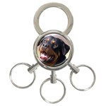 rottweiler 3-Ring Key Chain