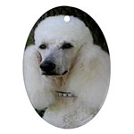 poodle 2 Ornament (Oval)