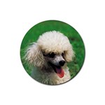 poodle Rubber Coaster (Round)