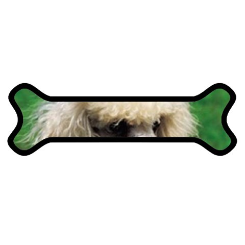 poodle Magnet (Dog Bone) from UrbanLoad.com Front