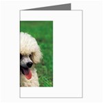 poodle Greeting Cards (Pkg of 8)
