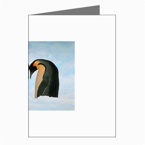 penguin Greeting Cards (Pkg of 8) from UrbanLoad.com Left