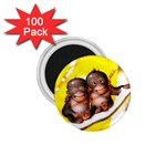 monkeys 1.75  Magnet (100 pack) 