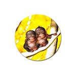 monkeys Magnet 3  (Round)