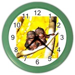 monkeys Color Wall Clock
