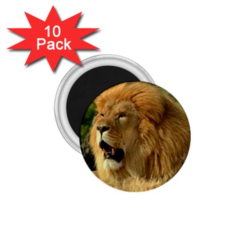 lion 1.75  Magnet (10 pack)  from UrbanLoad.com Front