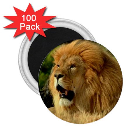 lion 2.25  Magnet (100 pack)  from UrbanLoad.com Front