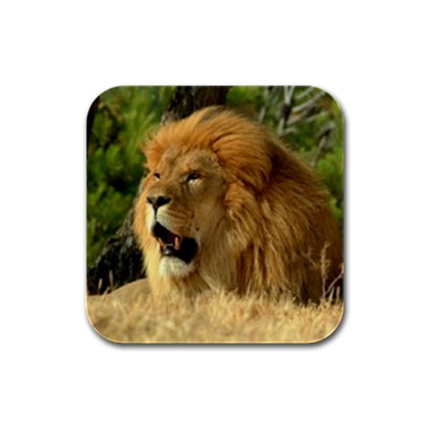 lion Rubber Square Coaster (4 pack) from UrbanLoad.com Front