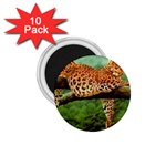 leopard 1.75  Magnet (10 pack) 