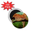 leopard 1.75  Magnet (100 pack) 