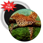 leopard 3  Magnet (10 pack)