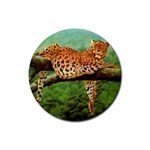 leopard Rubber Round Coaster (4 pack)