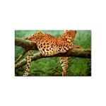leopard Sticker Rectangular (10 pack)