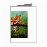 leopard Mini Greeting Card