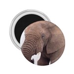 elephant 2.25  Magnet