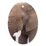 elephant Ornament (Oval)