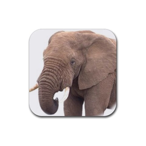 elephant Rubber Coaster (Square) from UrbanLoad.com Front