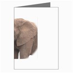 elephant Greeting Cards (Pkg of 8)