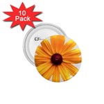 daisy 1.75  Button (10 pack) 