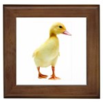 chick duck duckling Framed Tile