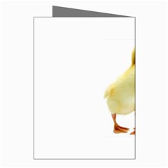 chick duck duckling Greeting Cards (Pkg of 8) from UrbanLoad.com Right