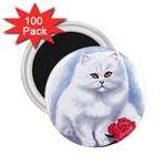 cat rose 2.25  Magnet (100 pack) 