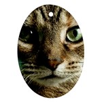 cat Ornament (Oval)