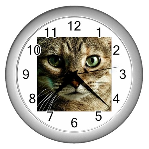 cat Wall Clock (Silver) from UrbanLoad.com Front
