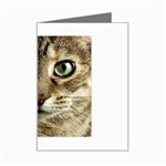 cat Mini Greeting Card