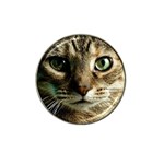 cat Hat Clip Ball Marker (10 pack)