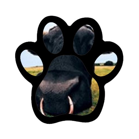 bull Magnet (Paw Print) from UrbanLoad.com Front
