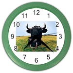 bull Color Wall Clock