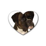 boxer 2 Heart Coaster (4 pack)