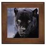 black panther Framed Tile
