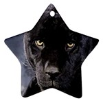 black panther Ornament (Star)