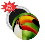 bird 2.25  Magnet (100 pack) 