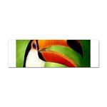 bird Sticker Bumper (100 pack)