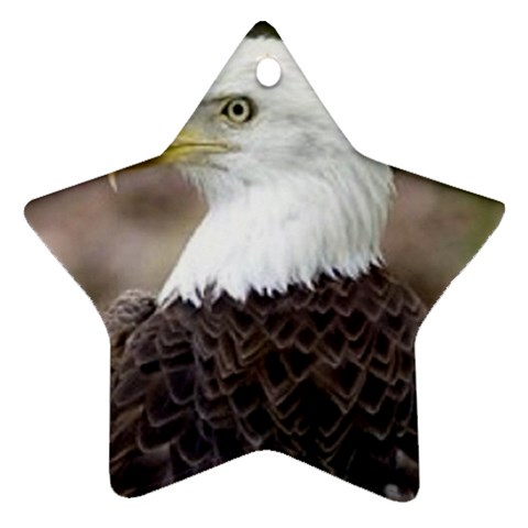 bald eagle Ornament (Star) from UrbanLoad.com Front
