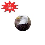 bald eagle 1  Mini Magnet (10 pack) 