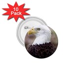 bald eagle 1.75  Button (10 pack) 