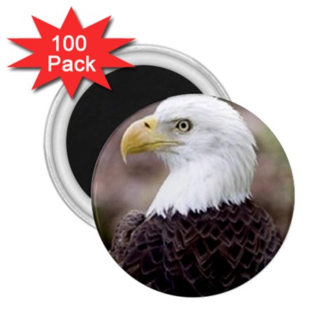 bald eagle 2.25  Magnet (100 pack)  from UrbanLoad.com Front