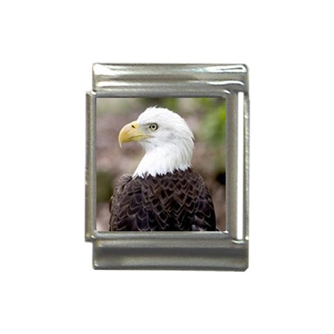 bald eagle Italian Charm (13mm) from UrbanLoad.com Front