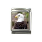 bald eagle Italian Charm (13mm)