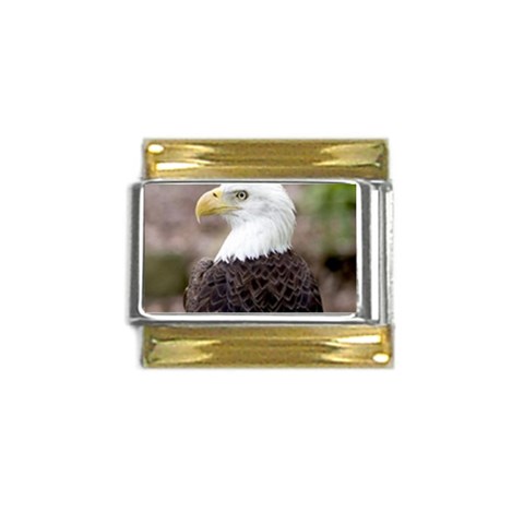bald eagle Gold Trim Italian Charm (9mm) from UrbanLoad.com Front