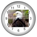bald eagle Wall Clock (Silver)