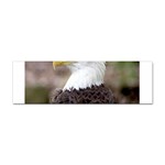 bald eagle Sticker Bumper (100 pack)